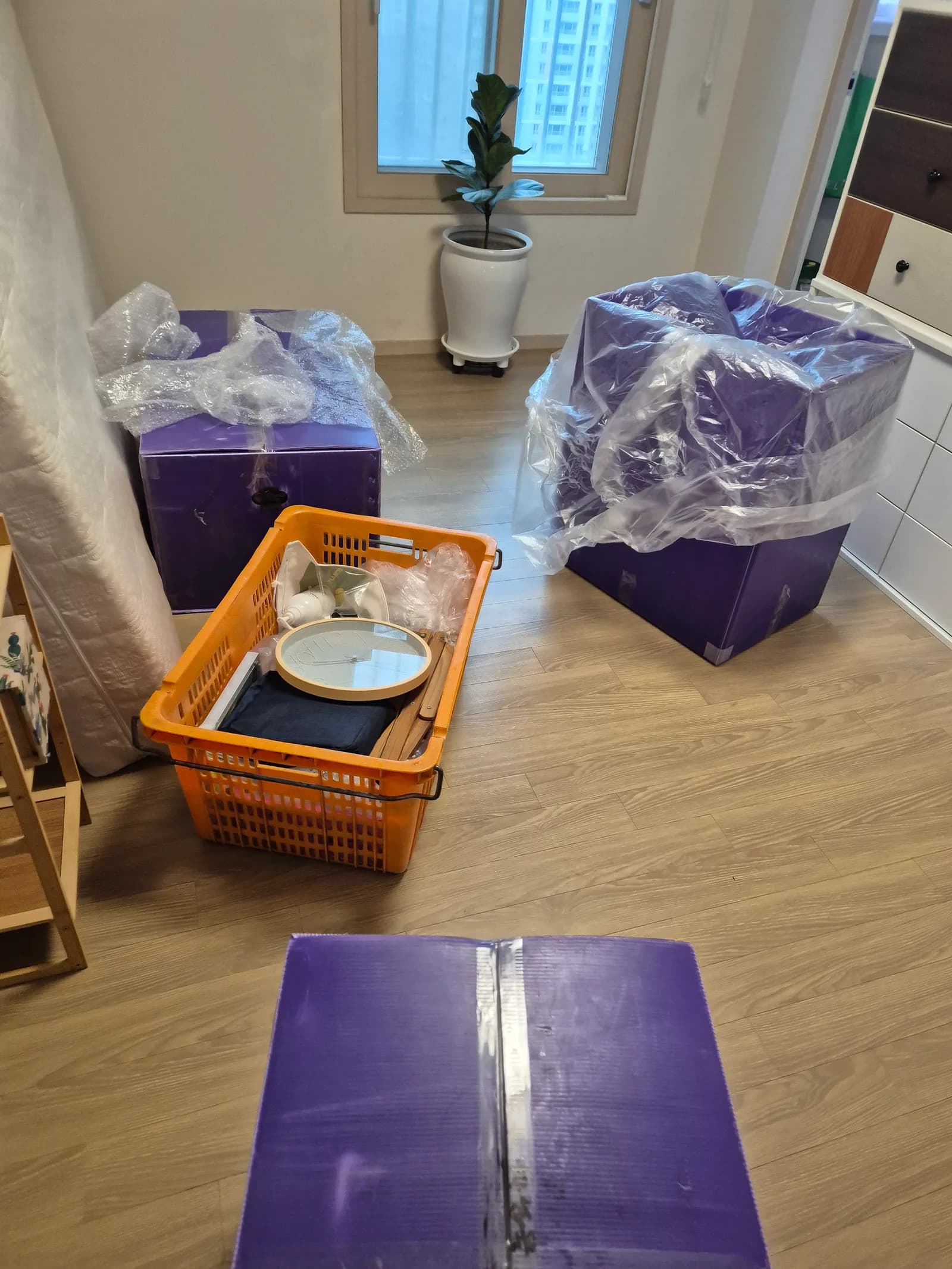 보라색 이불로 가구를 감싸 모서리 충격을 흡수하는 모습